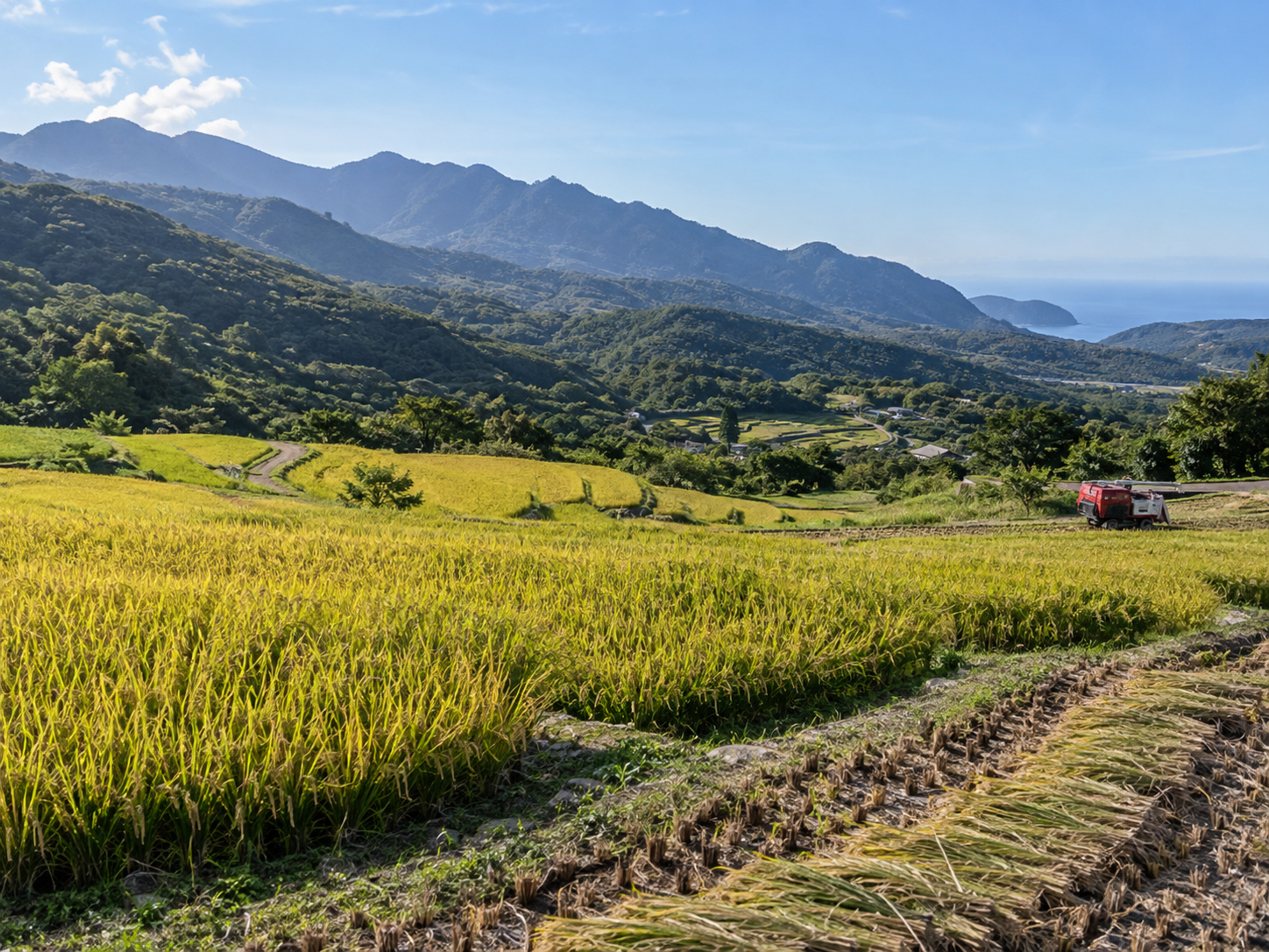 台灣山間梯田